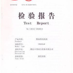 FM300KW柴油發(fā)電機(jī)組 檢驗報告